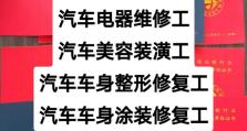 提升满车率300%技能攻略（全面了解提高满车率的方法与技巧，让你的运输效率飞速提升！）