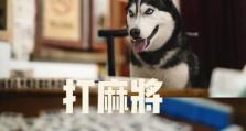 宠物天才强化技能攻略（打造强大的宠物团队，赢得无敌战斗！）