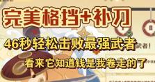 原神孤剑人攻略（解密孤剑人的技能、装备和战术，成为最强剑客！）