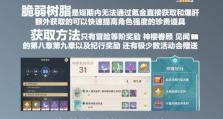 原神新手攻略（轻松上手原神，快速成为冒险大师！）