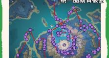原神反雷电将攻略大揭秘（掌握关键技巧，轻松击败雷电将！）