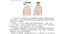 怪兽仙境新手攻略（带你一起解锁怪兽仙境的秘密，畅享游戏乐趣！）