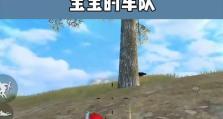 和平精英宝宝怎么打,和平精英宝宝高效打法攻略解析