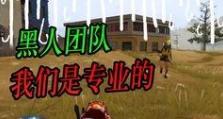 和平精英怎么托举队友,高效托举队友，团队胜利的关键技巧解析