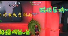 奇迹祭司技能图鉴攻略大全（打造最强奇迹祭司，技能图鉴详解）