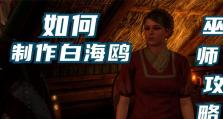 《巫师3必学炼金术技能攻略》（掌握炼金术技能，提升你的战斗能力！）